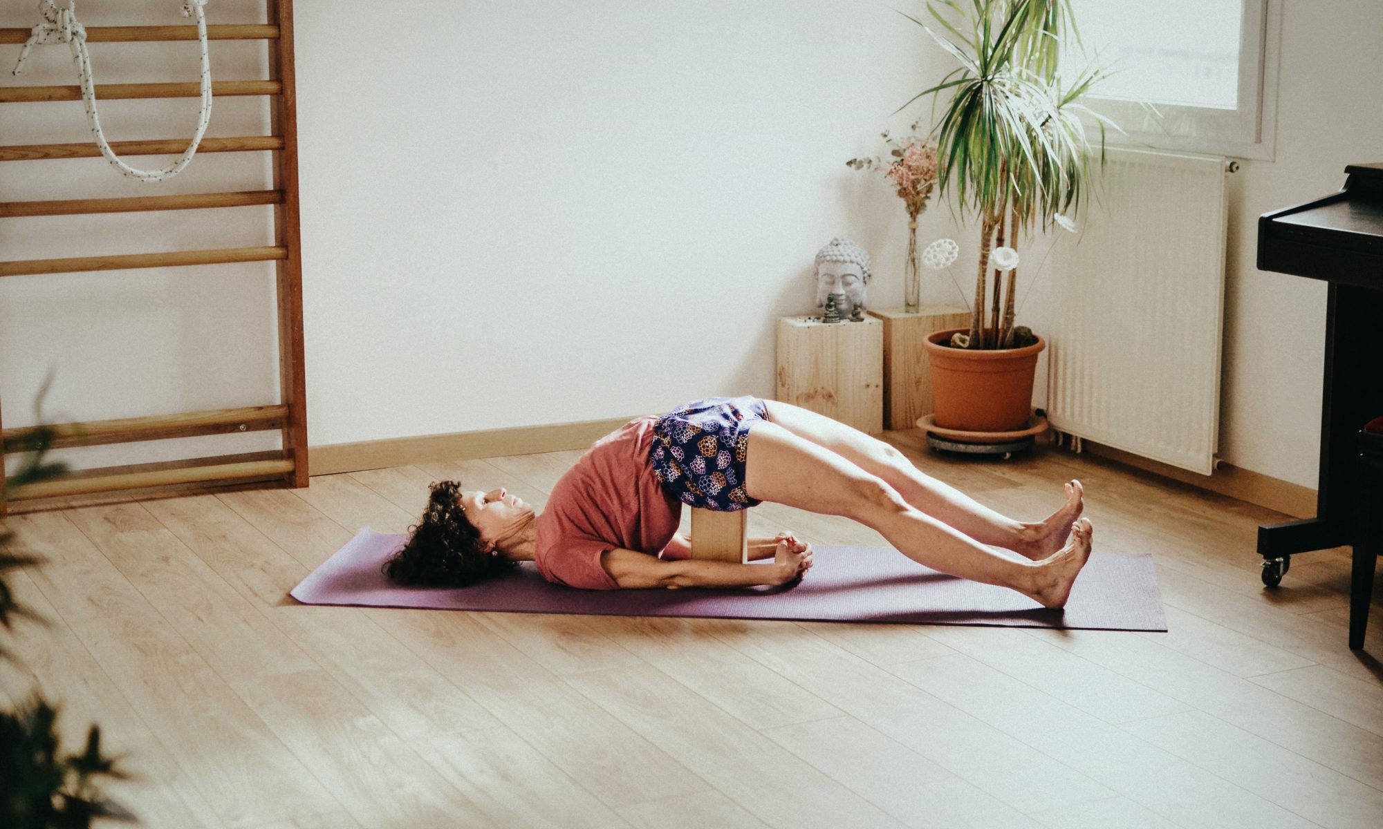 yoga Iyengar Nantes, Hatha yoga Rezé